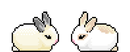 coelhos